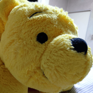 blueberry's icon